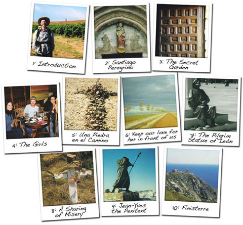 All the Good Pilgrims by Robert Ward