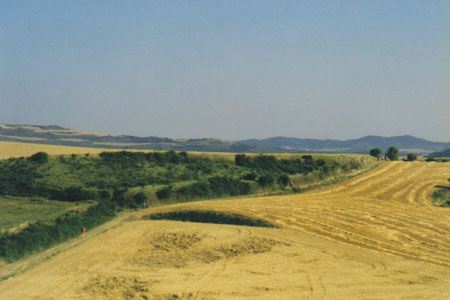a-straggling-trail-of-pilgrims-crosssing-the-fields-(pg-49).jpg