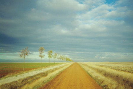 meseta-road.jpg