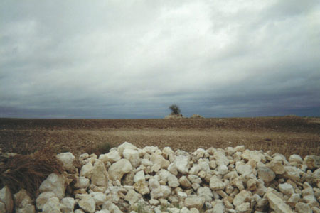 rocky-way.jpg